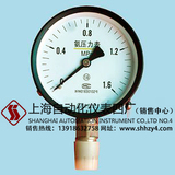 YA-100氨壓力表